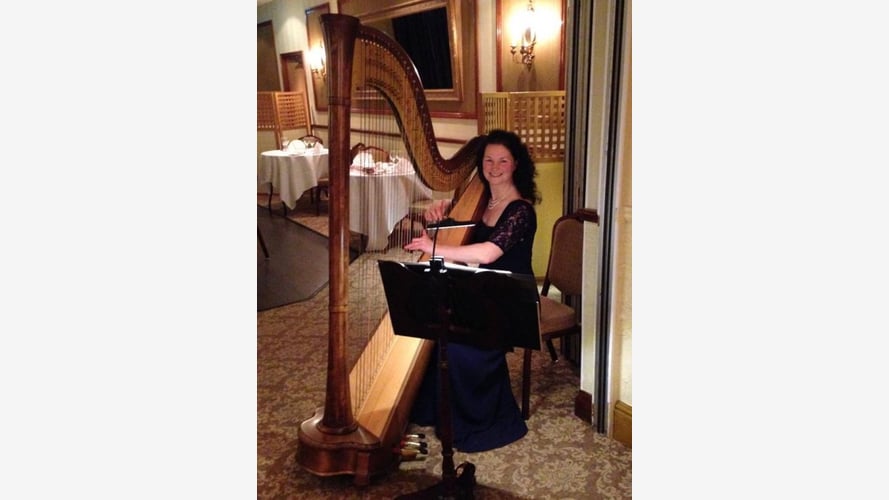 Michelle The Birmingham Harpist