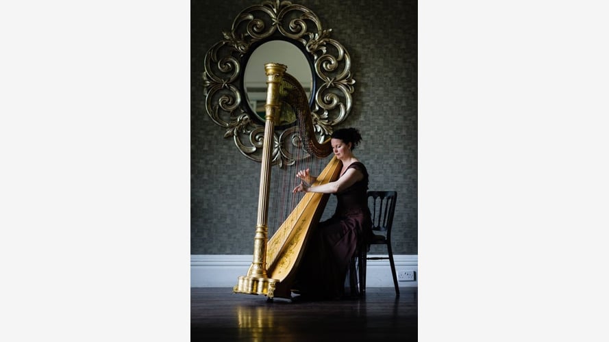 Michelle The Birmingham Harpist