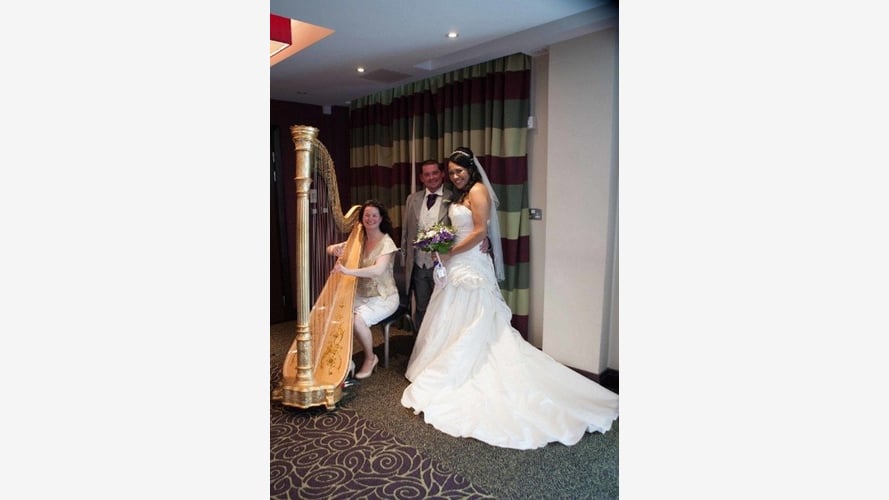 Michelle The Birmingham Harpist