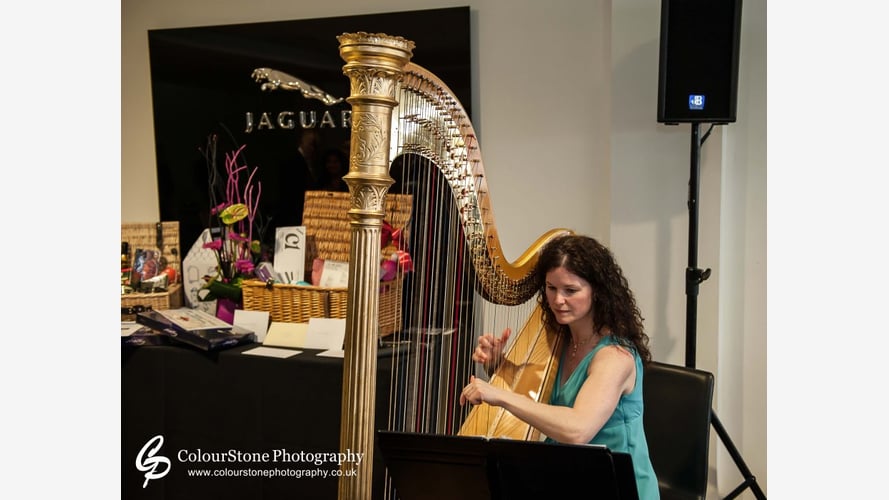 Michelle The Birmingham Harpist