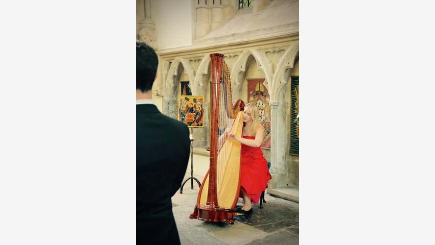 Siona the Somerset Harpist