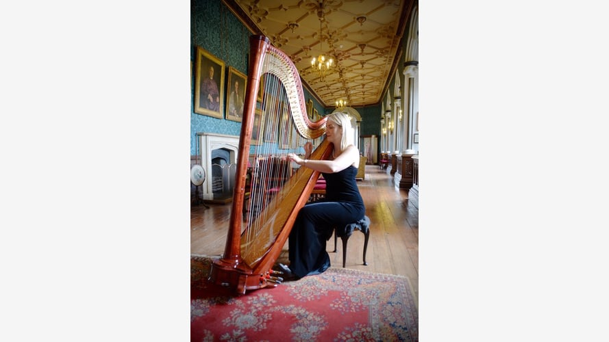 Siona the Somerset Harpist