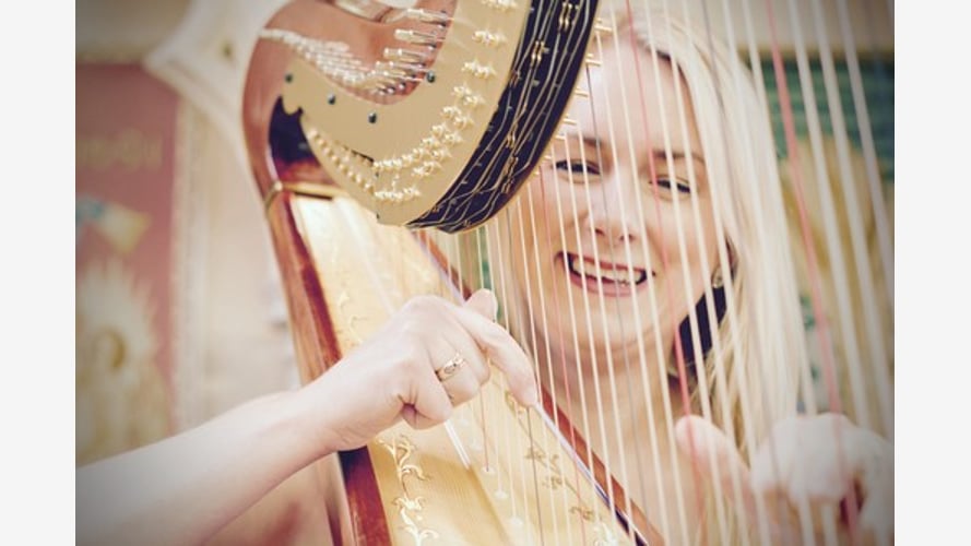 Siona the Somerset Harpist