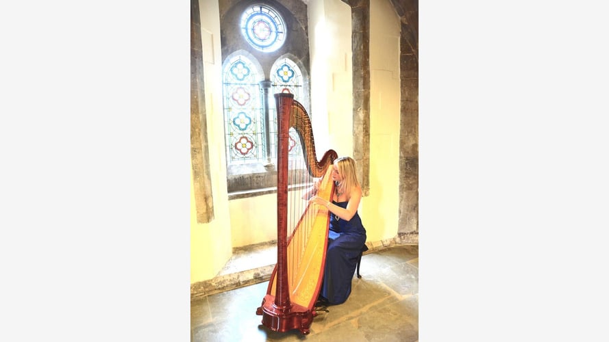 Siona the Somerset Harpist