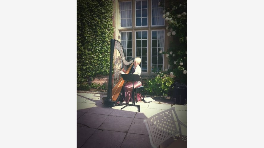 Lizzie The Harpist