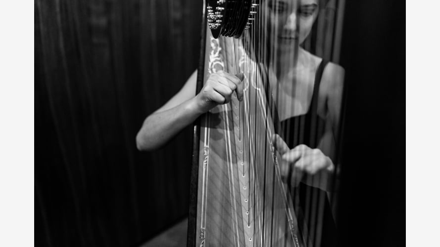 The East Yorkshire Harpist