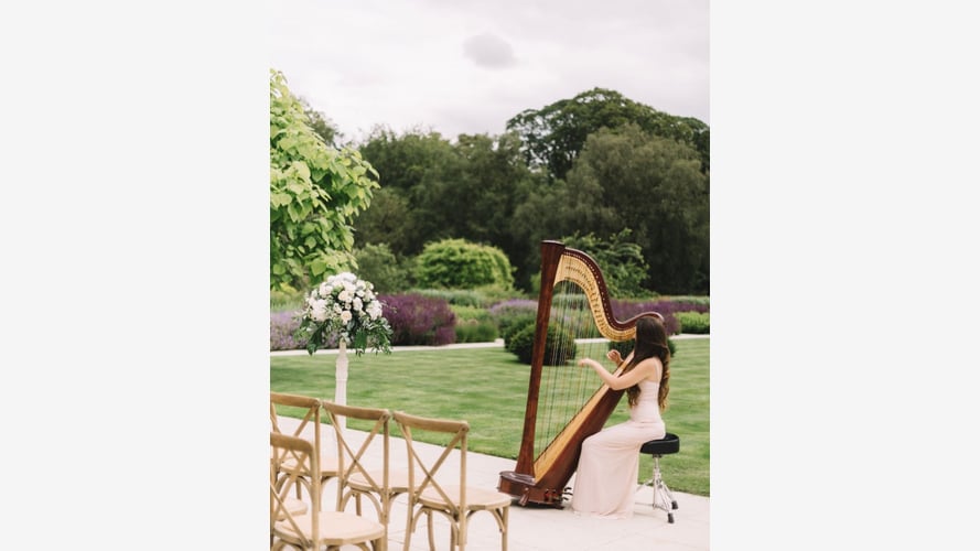 The East Yorkshire Harpist