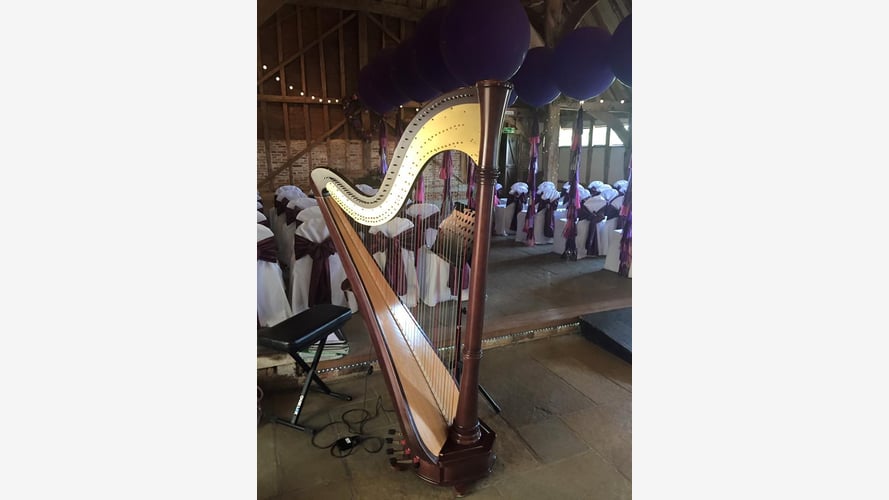 The Cambridgeshire Harpist
