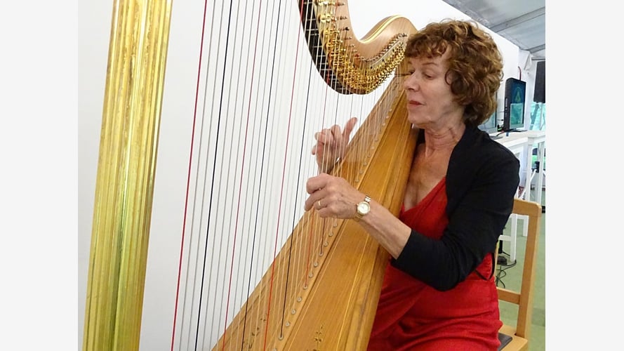 The Hampshire Harpist