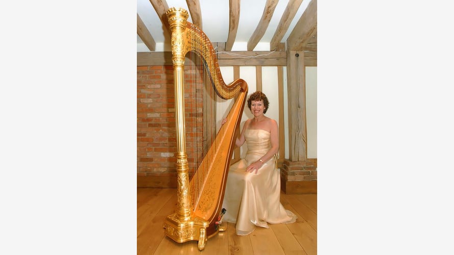 The Hampshire Harpist