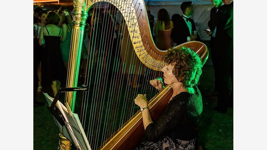 The Hampshire Harpist