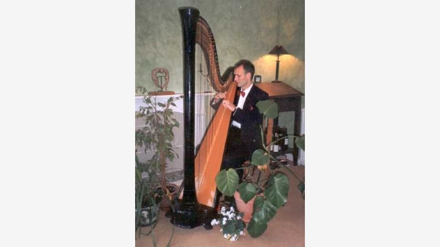 The Devon Harpist