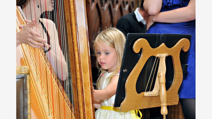 The East Sussex Harpist