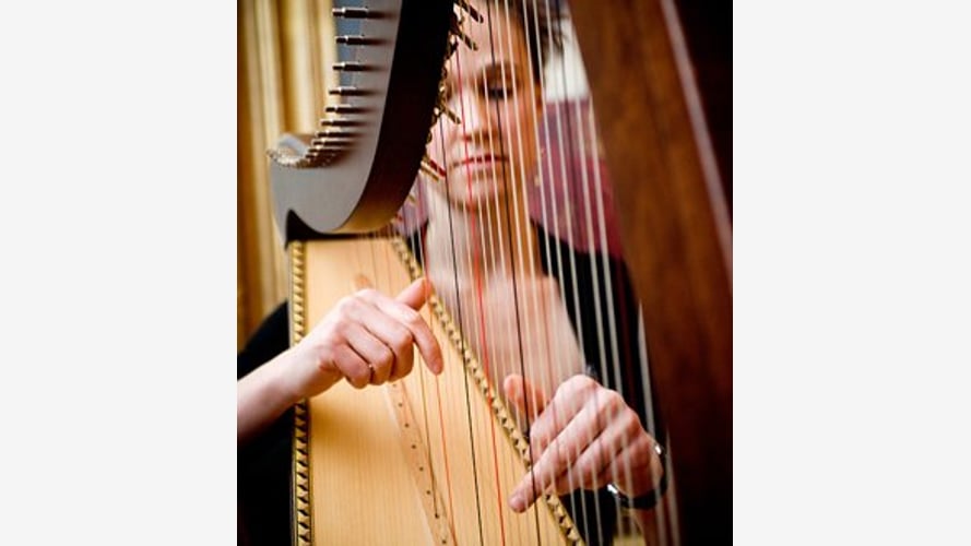 The East Sussex Harpist