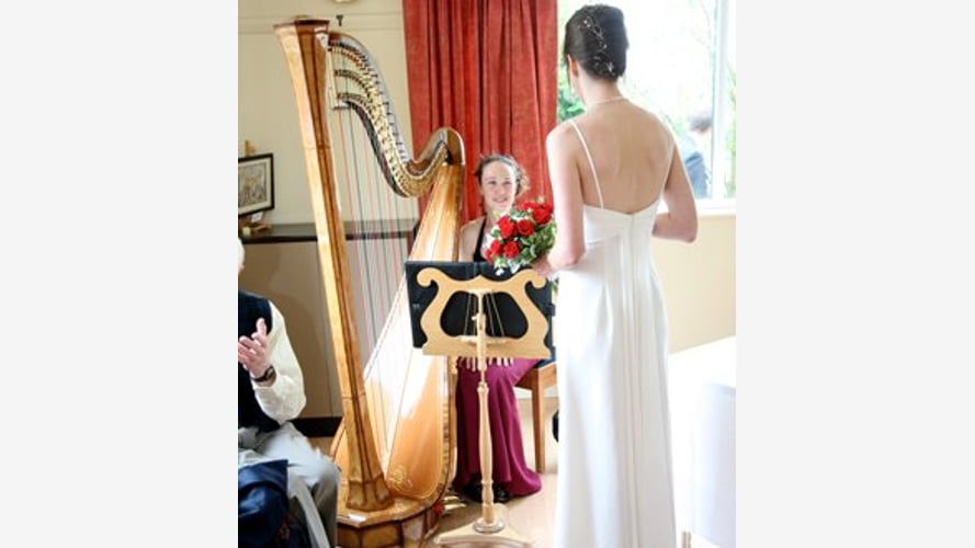 The East Sussex Harpist