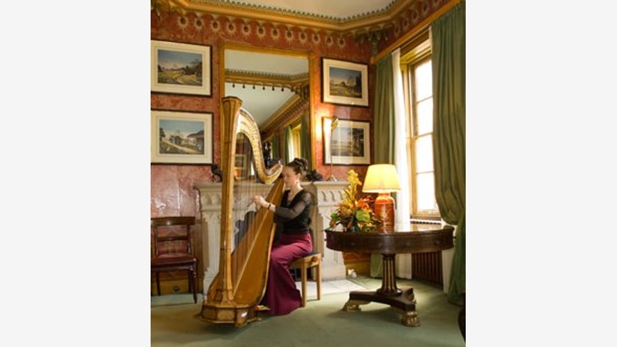 The East Sussex Harpist