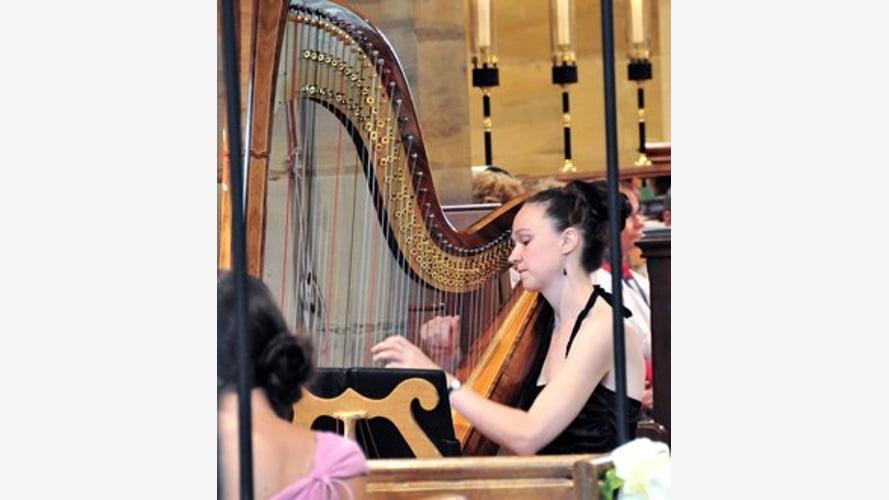 The East Sussex Harpist