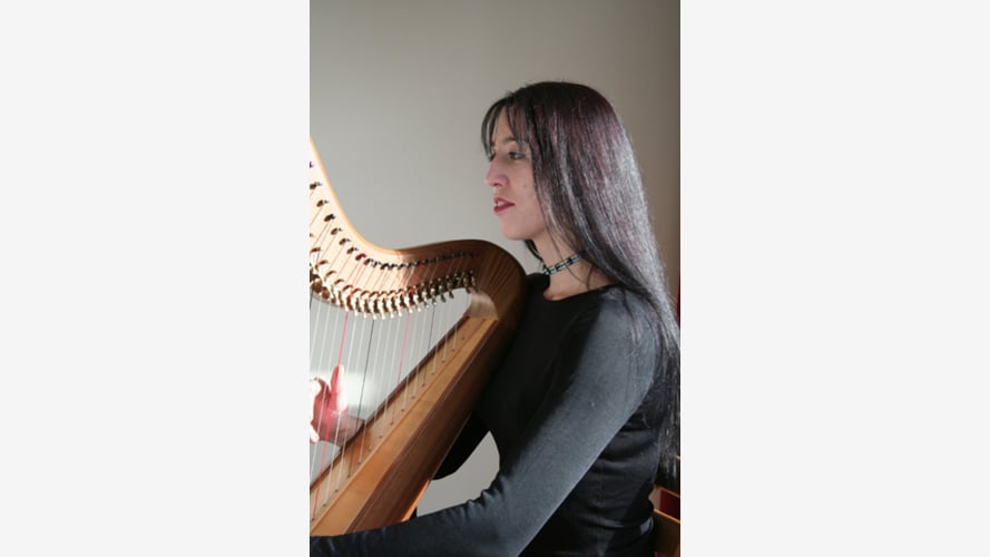 The Nottinghamshire Harpist