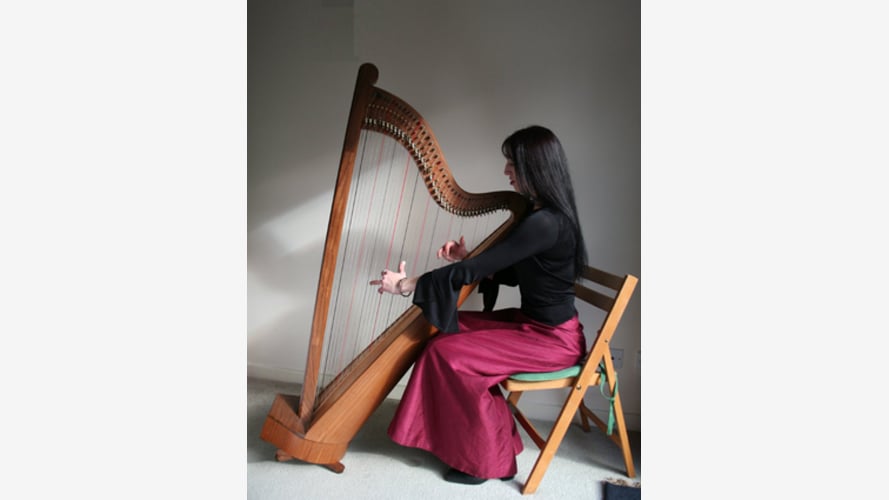 The Nottinghamshire Harpist