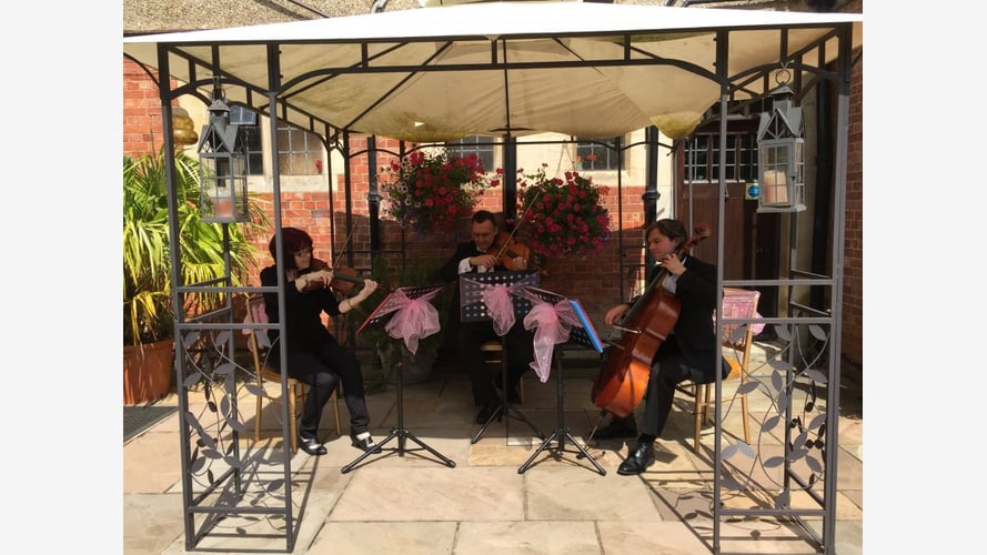 The Buckinghamshire String Trio & Quartet