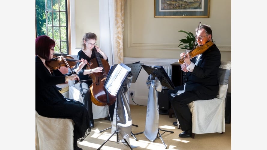 The Buckinghamshire String Trio & Quartet