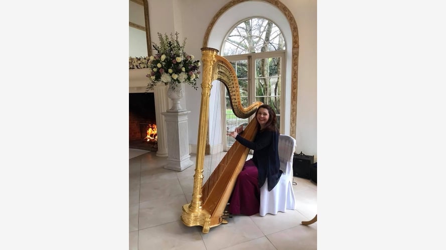 Hayley the Hampshire Harpist