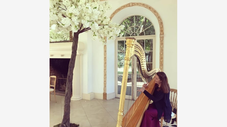 Hayley the Hampshire Harpist