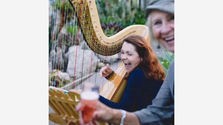 Hayley the Hampshire Harpist