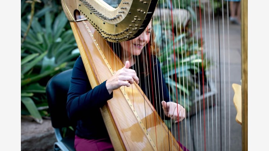 Hayley the Hampshire Harpist