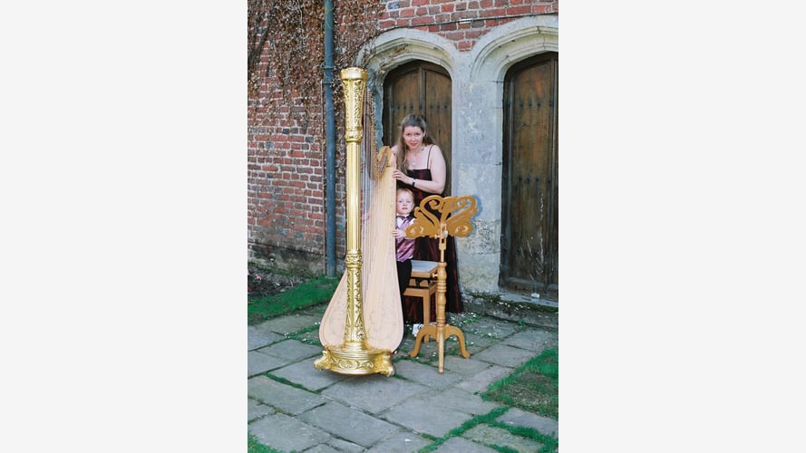 The Sussex Harpist