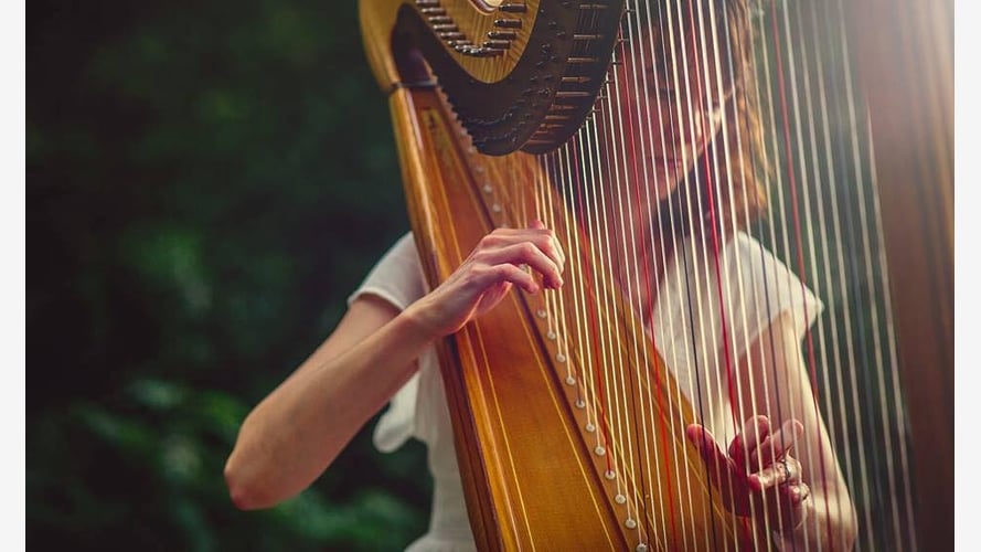 The Derbyshire Harpist