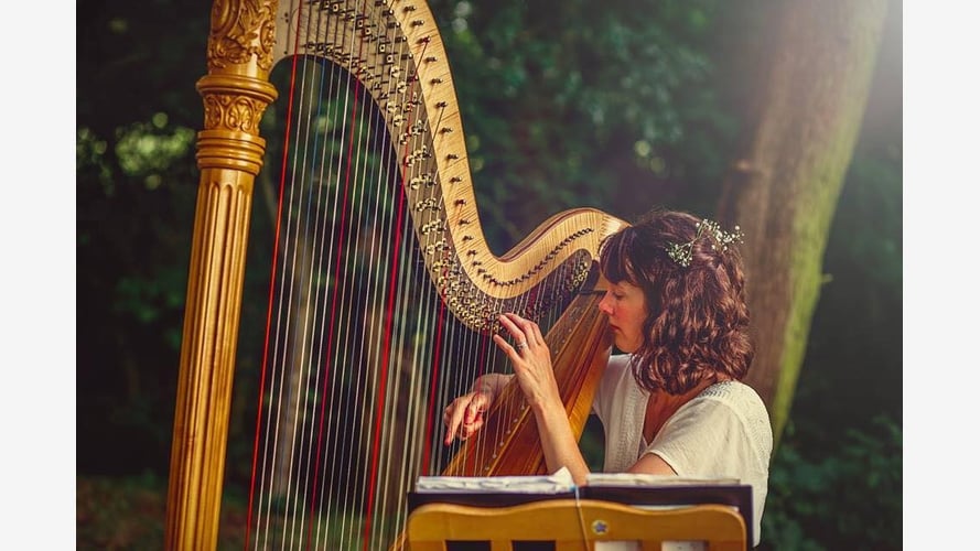 The Derbyshire Harpist