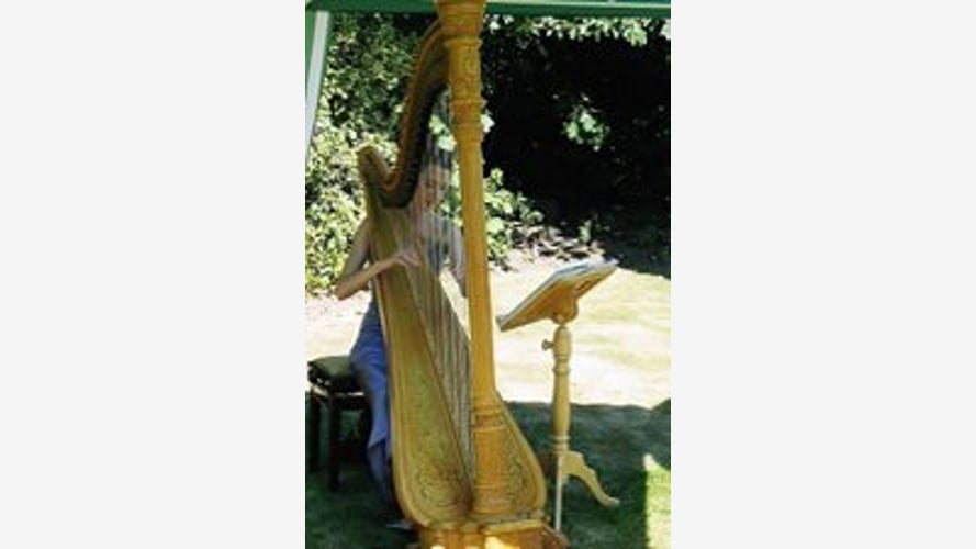 The Derbyshire Harpist