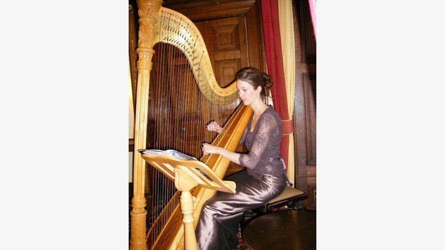 The Derbyshire Harpist