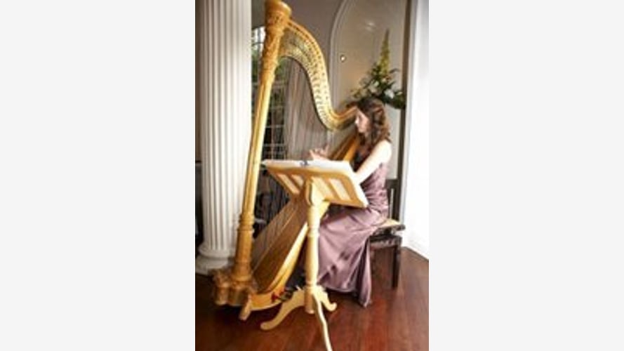 The Derbyshire Harpist