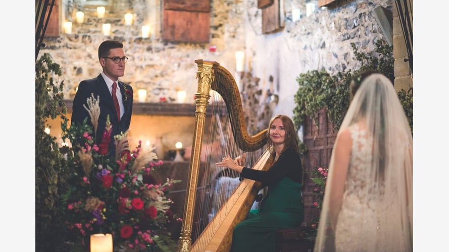 The Kent Harpist