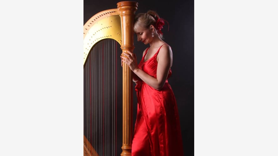 Anna The Sussex Harpist