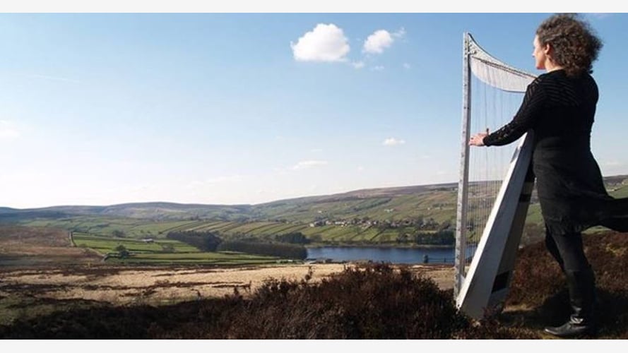 The West Yorkshire Harpist