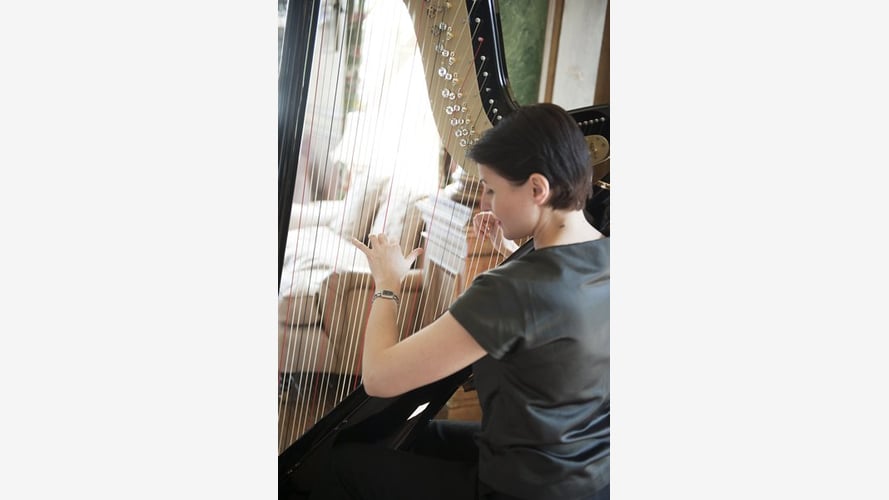 The Edinburgh Harpist