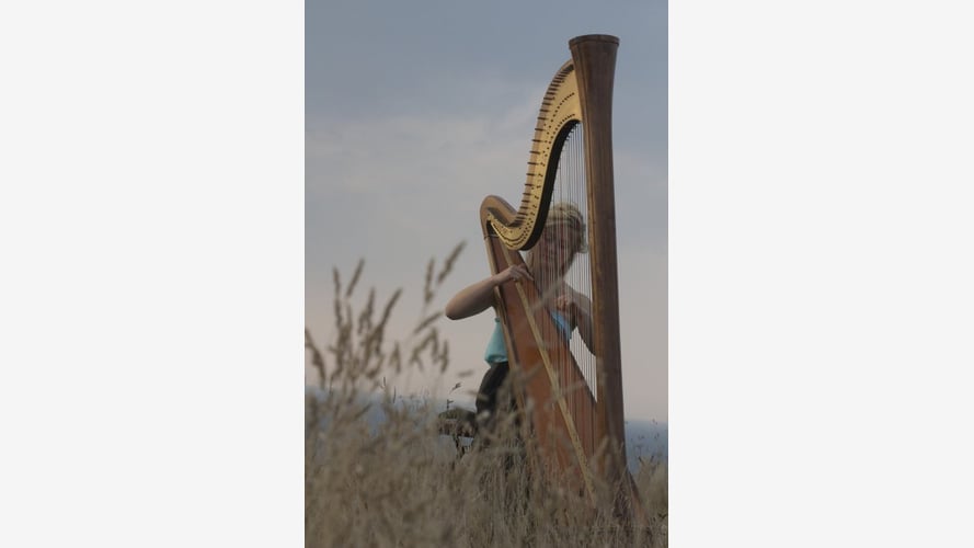 Ethereal Harp