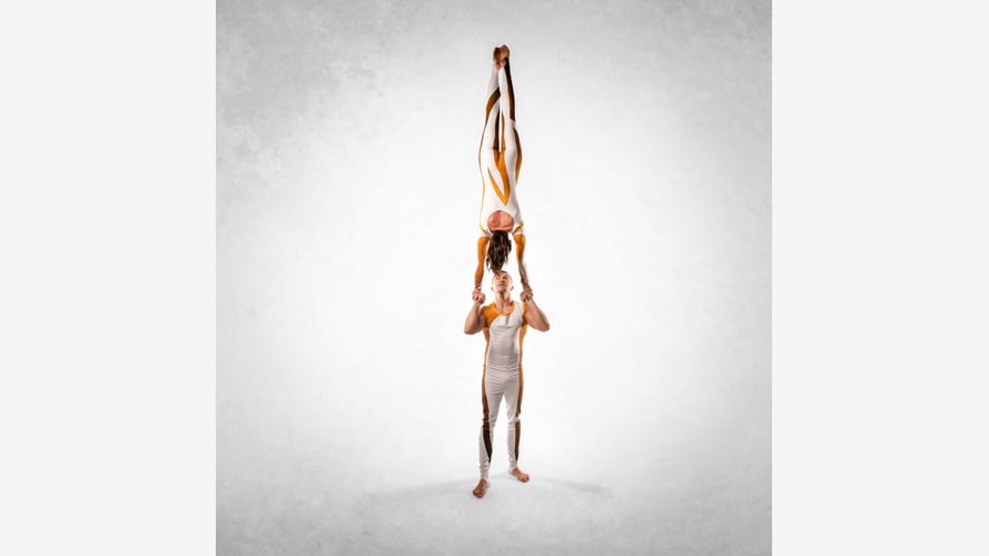 Acro Twist