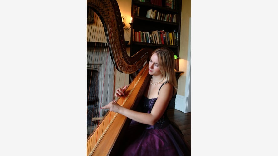 Siona the Somerset Harpist