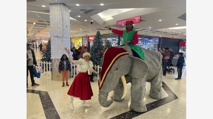 Elephants In The Room