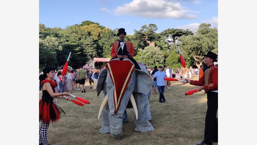 Elephants In The Room