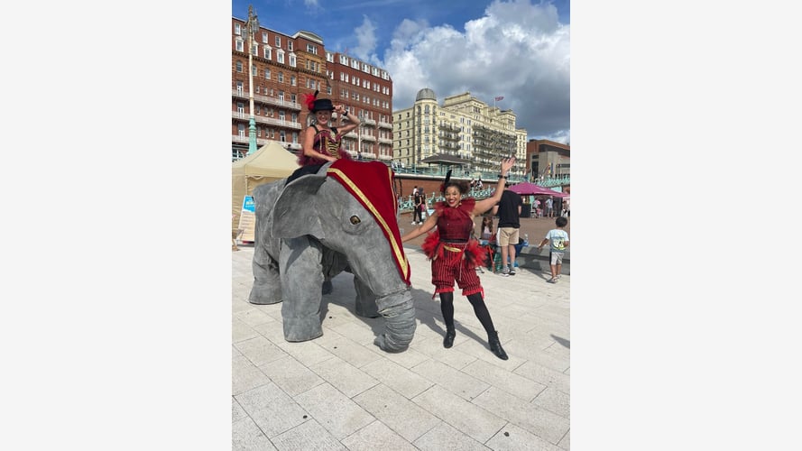 Elephants In The Room