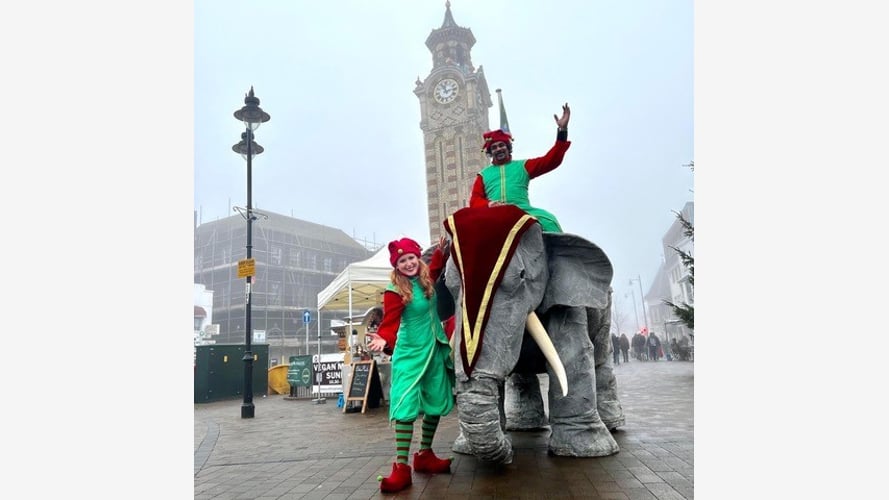 Elephants In The Room