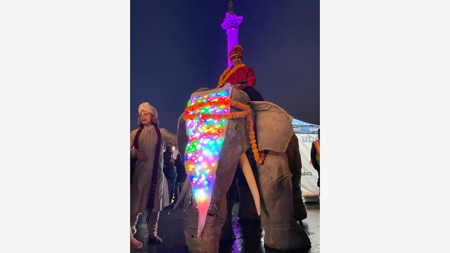 Elephants In The Room