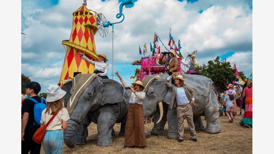Elephants In The Room