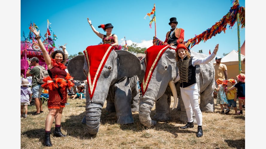 Elephants In The Room