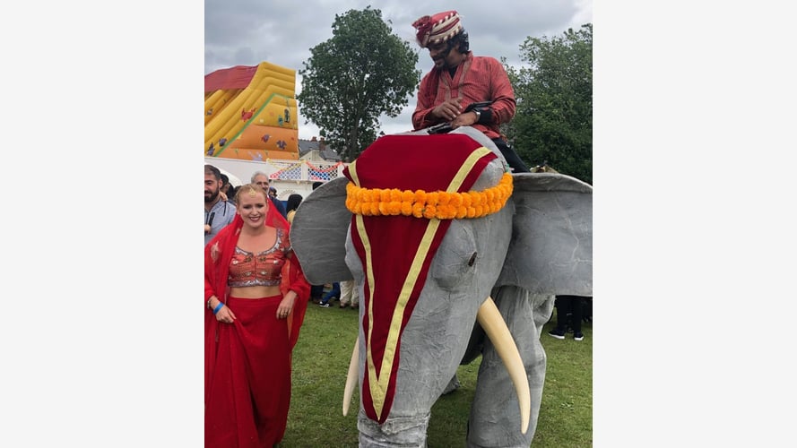 Elephants In The Room